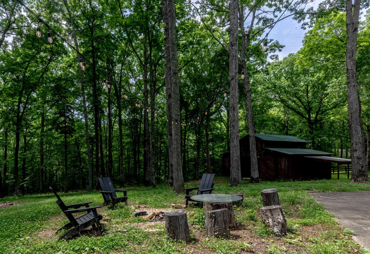 A cozy outdoor fire pit area surrounded by wooden chairs and tree stumps, with string lights creating a warm, inviting glow. Trees encircle the space, giving it a private, natural feel ideal for evening gatherings.