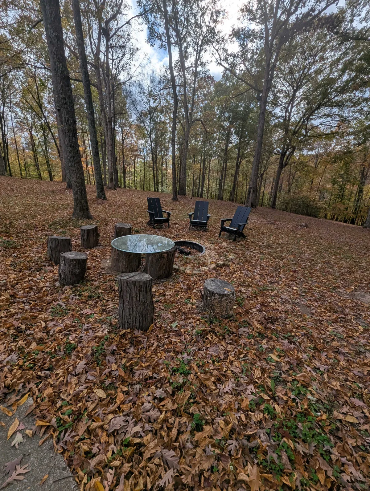 A cozy fire pit area framed by Adirondack chairs and rustic stump seating, set amid fallen leaves. The space invites groups to gather, share stories, and soak in the tranquil natural surroundings, perfect for year-round enjoyment.