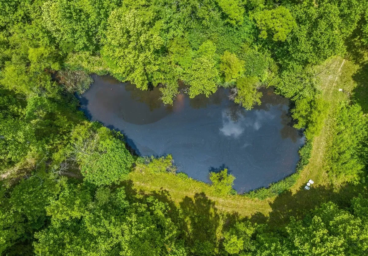 A serene pond enveloped in lush greenery, reflecting the sky with glass-like clarity. The tranquil setting is ideal for fishing, picnicking, and observing nature, inviting families to unwind and play outdoors.