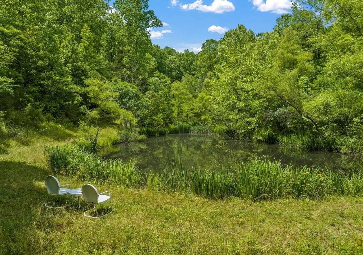 A serene scene featuring a still pond surrounded by lush greenery, with two inviting chairs placed at the water’s edge. The calm surface of the pond reflects the surrounding trees, evoking a sense of peace and solitude. The setting sun casts gentle light across the scene, creating a perfect spot for quiet contemplation or creative inspiration.